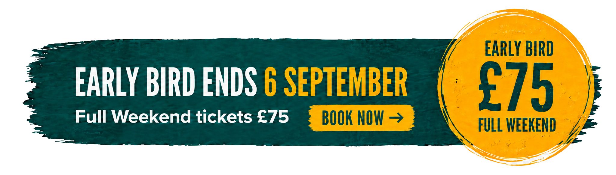 website early bird banner